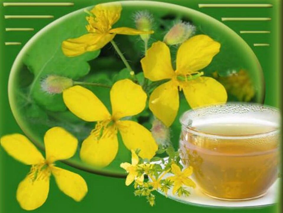 celandine decoction for toenail fungus